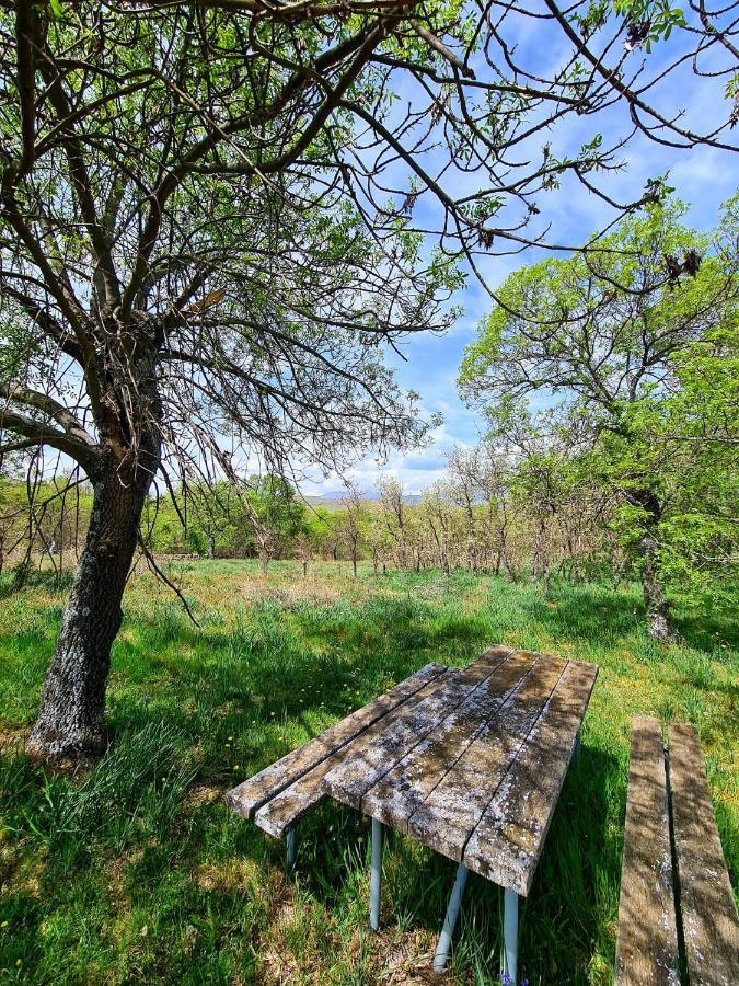 Acogedora Y Romantica Casita En La Sierra Garganta De Los Montes Dış mekan fotoğraf