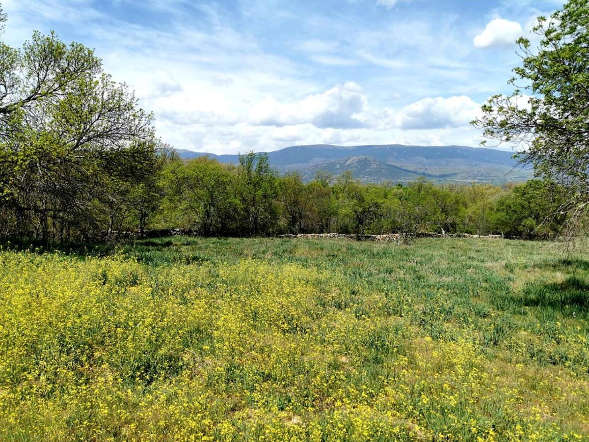 Acogedora Y Romantica Casita En La Sierra Garganta De Los Montes Dış mekan fotoğraf