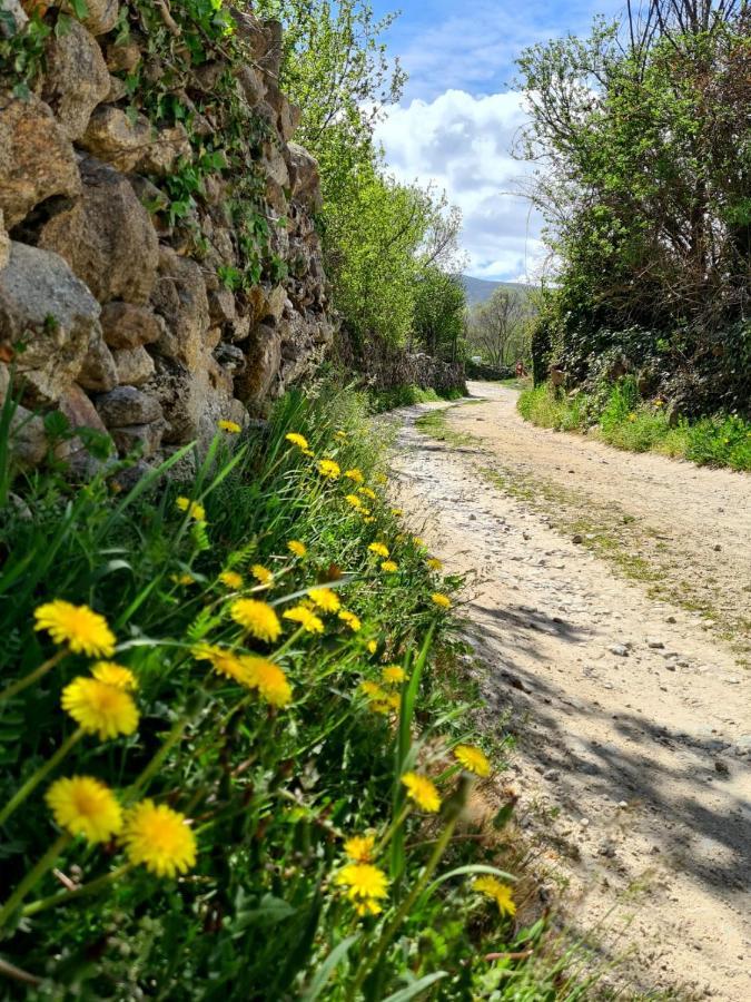 Acogedora Y Romantica Casita En La Sierra Garganta De Los Montes Dış mekan fotoğraf