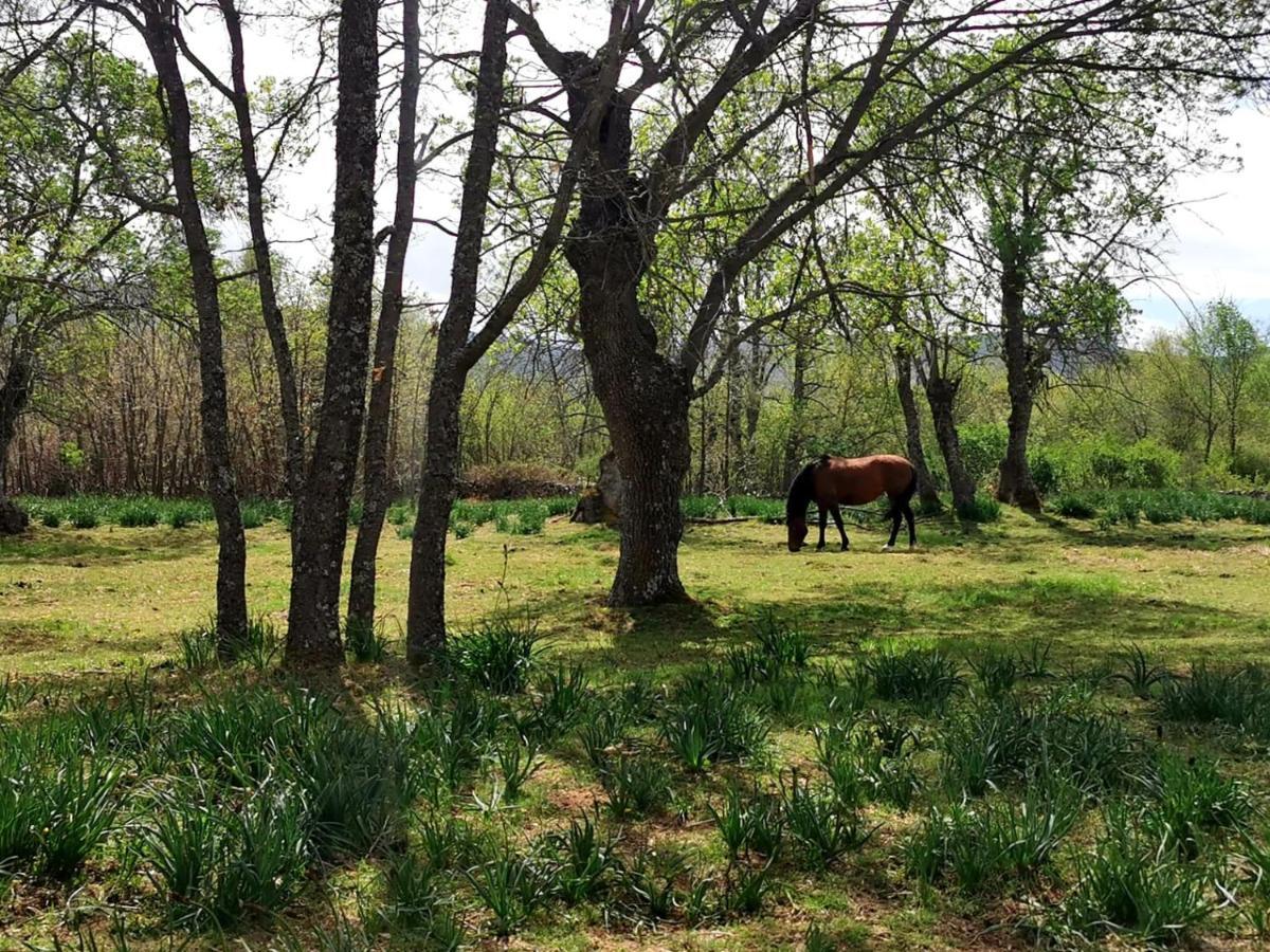 Acogedora Y Romantica Casita En La Sierra Garganta De Los Montes Dış mekan fotoğraf